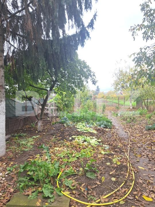 Casa de vânzare 5 camere Harman - 179864CV | BLITZ Brașov | Poza7