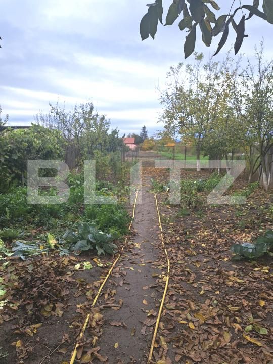 Casa de vânzare 5 camere Harman - 179864CV | BLITZ Brașov | Poza6