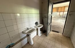 Hală 350 mp+ 750 mp teren betonat, Someșeni, Cluj-Napoca 