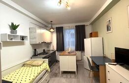 Garsoniera LUX de Inchiriat, parcare inlus , net inclus, zona   Dambul Rotund