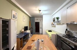 Garsoniera LUX de Inchiriat, 22 mp, Dambul Rotund