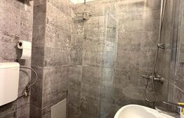 Garsoniera LUX de Inchiriat, 22 mp, Dambul Rotund