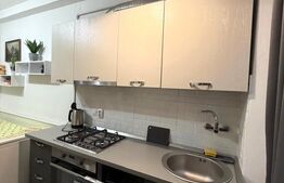 Garsoniera LUX de Inchiriat, parcare inlus , net inclus, zona   Dambul Rotund