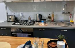 Garsoniera LUX de Inchiriat, 22 mp, Dambul Rotund