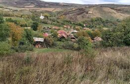 Casa de vanzare, 3 camere, 4663 mp teren, CF, Sat Barai