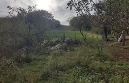 Casa de vanzare, 3 camere, 4663 mp teren, CF, Sat Barai