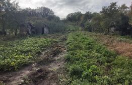 Casa de vanzare, 3 camere, 4663 mp teren, CF, Sat Barai