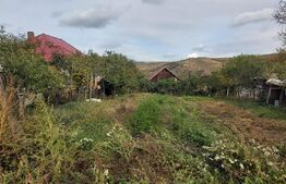 Casa de vanzare, 3 camere, 4663 mp teren, CF, Sat Barai