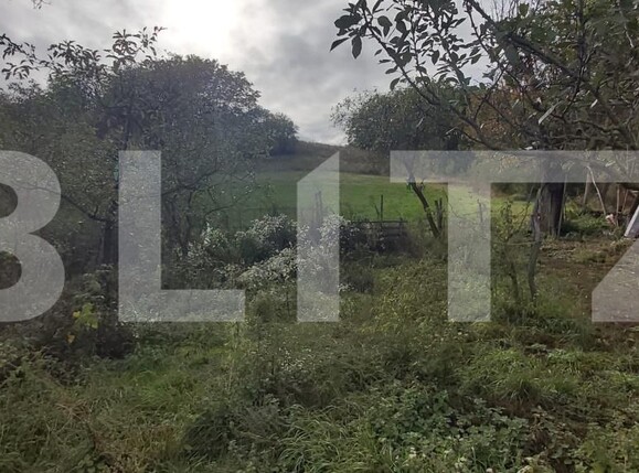 Casa de vânzare 3 camere Căianu - 179916CV | BLITZ Cluj-Napoca | Poza6