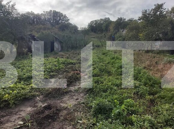 Casa de vânzare 3 camere Căianu - 179916CV | BLITZ Cluj-Napoca | Poza5