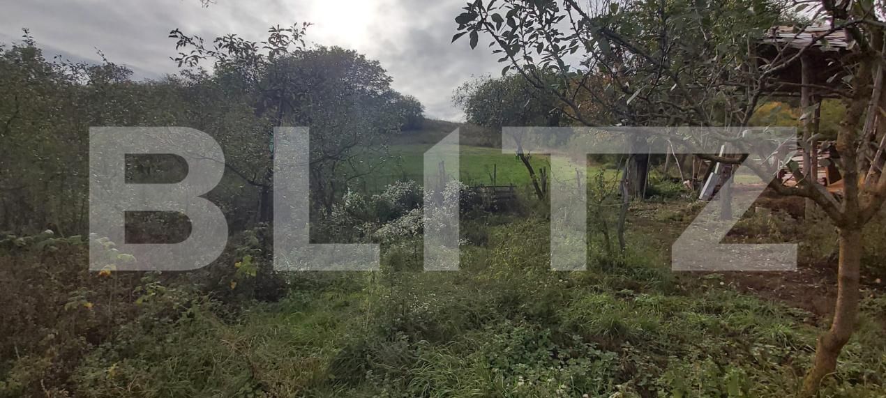 Casa de vânzare 3 camere Căianu - 179916CV | BLITZ Cluj-Napoca | Poza6