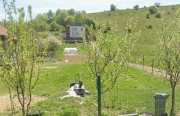 Oportunitate: Teren intravilan 1696 mp, la intrare în Sălicea, ideal casă