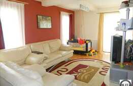 Calitate de exceptie la pret accesibil!