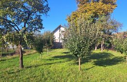 Casă individuală de vânzare în satul Zizin, județul Brașov