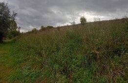 Teren de 920 mp construibil in zona Ciurila 