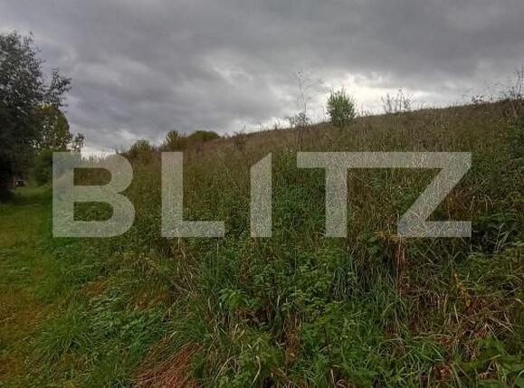 Teren de vânzare Ciurila - 179990TV | BLITZ Cluj-Napoca | Poza6