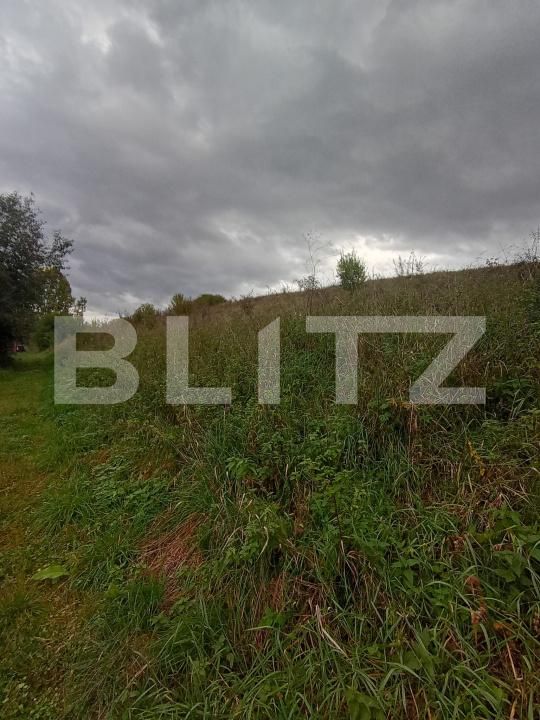 Teren de vânzare Ciurila - 179990TV | BLITZ Cluj-Napoca | Poza6