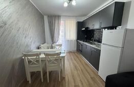 Apartament 2 camere, 40 mp, modern, zona Teilor 