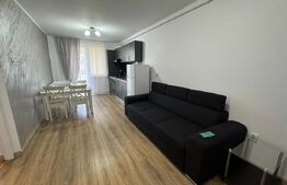 Apartament 2 camere, 40 mp, modern, zona Teilor 