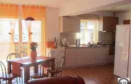 Duplex de inchiriat mobilat
