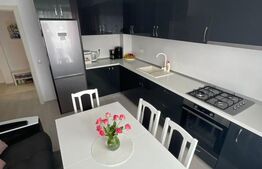 Garsonieră modernă și spațioasă 