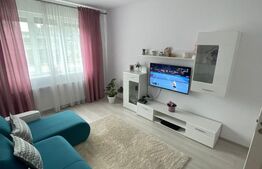 Garsoniera spatioasa zarnesti , stare impecabila .