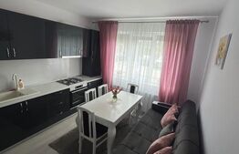 Garsoniera spatioasa zarnesti , stare impecabila .