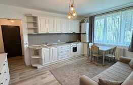 Apartament 2 dormitoare. etaj 1, 46 mp, zona Iulius Mall