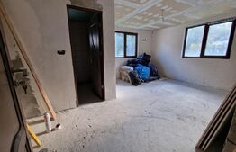 Oportunitate investitie, casa individuala, 264mp utili, 7 camere, Lacul Tarnita