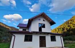 Oportunitate investitie, casa individuala, 264mp utili, 7 camere, Lacul Tarnita