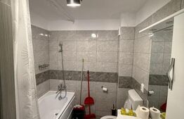 Apartament o camera, 42 mp, parcare, PET FRIENDLY 