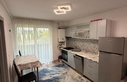 Apartament o camera, 42 mp, parcare, PET FRIENDLY 