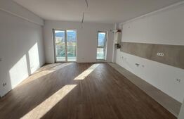Apartament 2 camere, 56 mp, zona Somesului