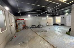 Spatiu comercial, 80 mp, zona Somesului 