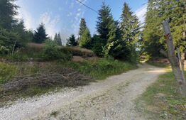 Teren de vânzare Padureni (Ciurila) - 183220TV | BLITZ Cluj-Napoca | Poza3