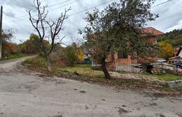 Casa individuala la rosu, 150mp, 500eurp/mp, Agarbiciu