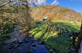 Teren extravilan de 1000mp, cabana, acces direct la pârâu, zona Lacul Tarnita