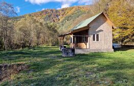 Teren extravilan de 1000mp, cabana, acces direct la pârâu, zona Lacul Tarnita