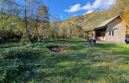 Teren extravilan de 1000mp, cabana, acces direct la pârâu, zona Lacul Tarnita