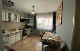 Apartament 2 camere, 48 mp, zona Porii