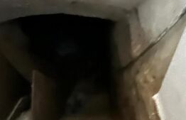 Casă cu curte comună – 2 ap. separate, zona Piața Abator / Parcul Feroviarilor