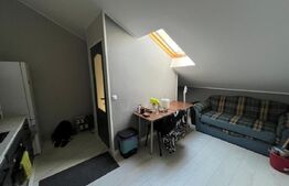 Casă cu curte comună – 2 ap. separate, zona Piața Abator / Parcul Feroviarilor