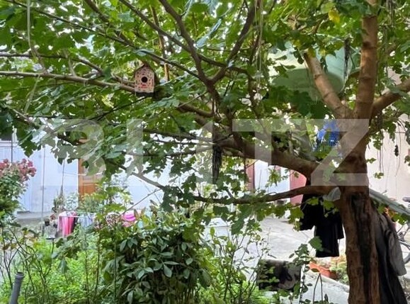 Casa de vânzare 4 camere Semicentral - 180330CV | BLITZ Cluj-Napoca | Poza12