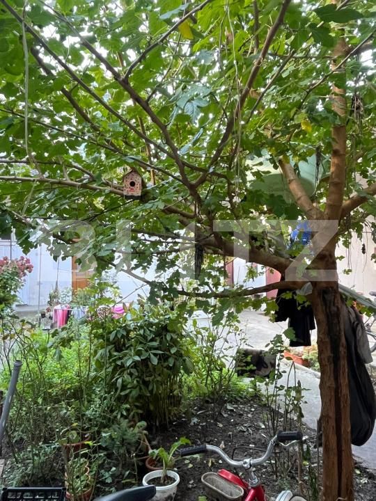 Casa de vânzare 4 camere Semicentral - 180330CV | BLITZ Cluj-Napoca | Poza12