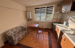 Apartament, 2 camere, 55 mp, zona Iulius Mall