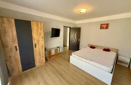 Apartament 2 camere, 50 mp, zona Porii