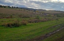 Teren de investitie 1760 mp