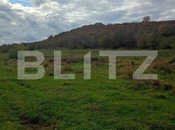 Teren de vânzare Coruşu - 180392TV | BLITZ Cluj-Napoca | Poza2