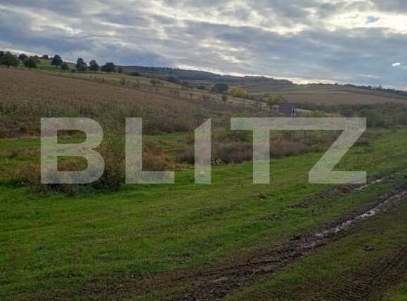 Teren de vânzare Coruşu - 180392TV | BLITZ Cluj-Napoca | Poza3