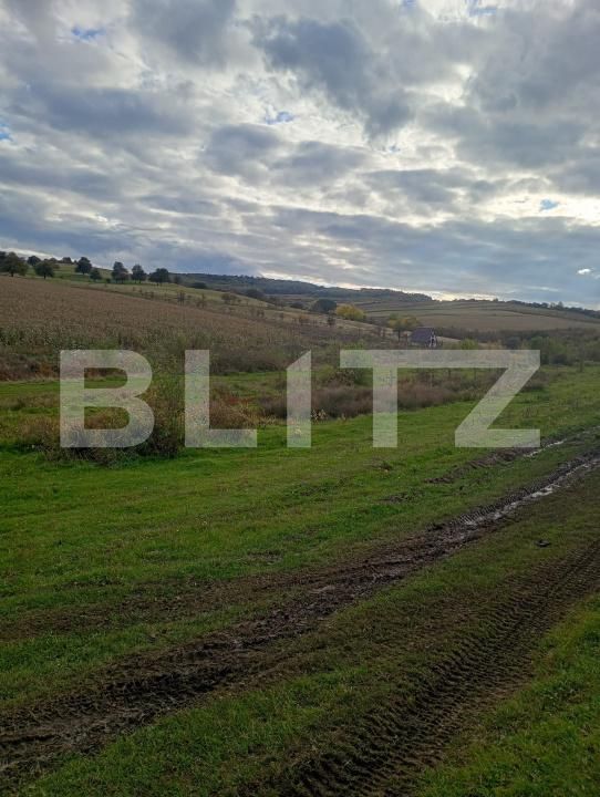 Teren de vânzare Coruşu - 180392TV | BLITZ Cluj-Napoca | Poza3